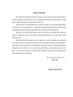 hạn chế rủi ro tín dụng tại ngân hàng tmcp việt nam thịnh vượng (vpbank)