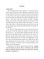 tóm tắt luân án  nghiên cứu sinh trưởng và cấu trúc làm cơ sở khoa học đề xuất biện pháp kỹ thuật góp phần kinh doanh rừng trồng tếch