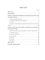 Các kết quả đánh giá ổn định nghiệm của phương trình parabolic ngược thời gian