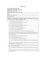 phát triển thị trường ngân hàng bán lẻ tại ngân hàng tmcp kỹ thương việt nam (techcombank)