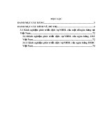 phát triển dịch vụ ngân hàng bán lẻ tại ngân hàng tmcp đại dương