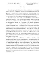 kế toán bán hàng và xác định kết quả kinh doanh tại công ty tnhh sản xuất thương mại anh việt