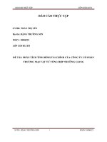 PHÂN TÍCH TÌNH HÌNH tài CHÍNH của CÔNG TY cổ PHẦN THƯƠNG mại vật tư TỔNG hợp TRƯỜNG GIANG