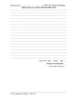 Phân tích tình hình tài chính công ty TNHH công trình sao đỏ