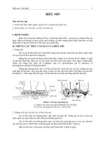 tài liệu update  biểu mô