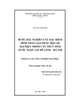 Bước đầu gnhiên cứu đặc điểm hình thái, giải phẫu một số đại diện nhóm cây thủy sinh nước ngọt tại Mê Linh, Hà Nội