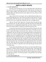 sáng kiến kinh nghiệm phát huy trí lực học sinh trong giải toán bất đẳng thức và cực trị