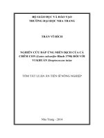 tóm tắt luận án  nghiên cứu đáp ứng miễn dịch của cá chẽm con (lates calcarifer bloch, 1790) đối với vi khuẩn streptococcus iniae