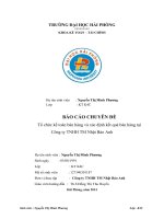 tổ chức kế toán bán hàng và xác định kết quả bán hàng tại công ty tnhh tm nhật bảo anh