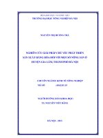 Nghiên cứu giải pháp chủ yếu phát triển sản xuất hàng hoá đối với một số nông sản ở huyện gia lâm, thành phố hà nội