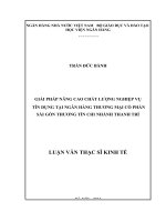 giải pháp nâng cao chất lượng nghiệp vụ tín dụng tại ngân hàng tmcp sài gòn thương tín - chi nhánh thanh trì