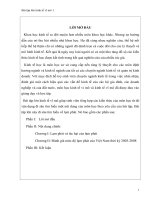 đánh giá mức độ lạm phát của việt nam thời kỳ 2003-2008