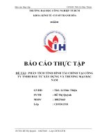 PHÂN TÍCH TÌNH HÌNH tài CHÍNH tại CÔNG TY TNHH đầu tư xây DỰNG và THƯƠNG mại bắc     NAM