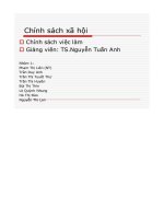 bài thảo luận chính sách việc làm