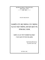 Nghiên cứu hệ thống cây trồng tại xã Việt Thống, huyện Quế Võ, tỉnh Bắc Ninh