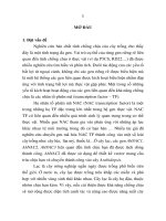 tóm tắt luậ án tiên sĩ tiếng việt hành vi ngôn ngữ thề (swear) trong tiếng việt