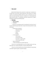 tiểu luận sự phát triển kinh tế giữa các khu vực kinh tế