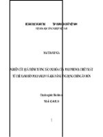 tóm tắt luận án nghiên cứu quá trình tương tác oxi hóa của polyphenol chiết xuất từ chè xanh đến polyanilin và khả năng ứng dụng chống ăn mòn