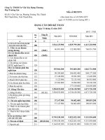 cân đối kế toán công ty tnhh tư vấn xây dựng thương mại trường lộc