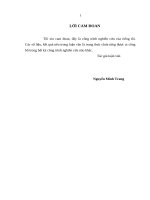 một số giải pháp nâng cao hiệu quả quản lý và sử dụng quỹ phát triển xã thuộc dự án phát triển lâm nghiệp để cải thiện đời sống vùng tây nguyên (flitch)