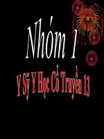 Đề tài y sỹ y học cổ truyền 13 lậu cầu