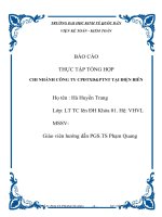 báo cáo thực tập tổng hợp chi nhánh công ty cổ phần đầu tư xây dựng và phát triển nông thôn tại điện biên