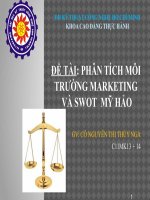 Phân tích môi trường marketing và swot mỹ hảo