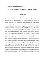 xuất khẩu bitis vào thị trường mỹ