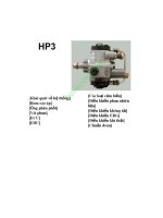 hệ thống phun dầu điện tử commonrail