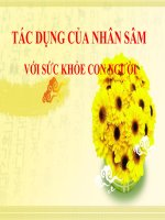 TÁC DỤNG của NHÂN sâm với sức KHỎE CON NGƯỜI