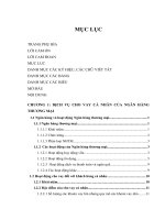Giải pháp phát triển dịch vụ cho vay cá nhân tại Chi nhánh Ngân hàng thương mại cổ phần Ngoại thương Đà Nẵng giai đoạn 2011 - 2015