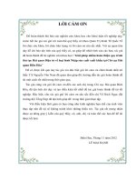 Luận văn quản trị kinh doanh giải pháp nhằm hoàn thiện quy trình thủ tục hải quan điện tử về loại hình nhập sản xuất xuất khẩu tại chi cục hải quan biên hòa