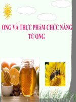 ONG và THỰC PHẨM CHỨC NĂNG từ ONG