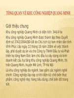 Slide Phân tích ảnh hưởng của khu công nghiệp Quang Minh tới môi trường