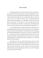 nghiên cứu đặc điểm hình ảnh và giá trị của chụp cắt lớp vi tính 64 dãy trong chẩn đoán u tuyến thượng thận