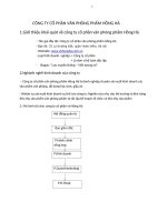 Bài tiểu luận công ty cổ phần văn phòng phẩm Hồng Hà