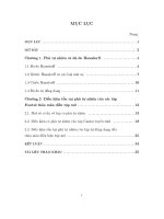 Về điều kiện tồn tại phủ tự nhiên của các tập fractal