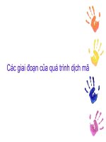 Các giai đoạn của quá trình dịch mã