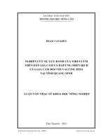 nghiên cứu sự lưu hành của virus cúm trên đàn gia cầm và đáp ứng miễn dịch của gia cầm đối với vaccine h5n1 tại tỉnh quảng ninh