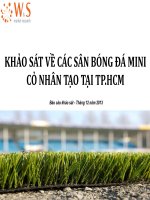 báo cáo nghiên cứu về sân bóng đá mini cỏ nhân tạo tại tp.hcm