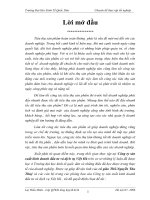 Biện pháp thúc đẩy hoạt động tiêu thụ bia hơi tại cty SXKD đầu tư và dịch vụ Việt Hà