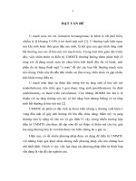 đánh giá kết quả bước đầu điều trị u mạch máu trẻ em vùng đầu mặt cổ bằng propranolol