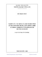 nghiên cứu tác động của một số biện pháp kỹ thuật đến sinh trưởng rừng thông caribê (p. caribaea morelet) ở vùng đông bắc bộ để cung cấp gỗ lớn