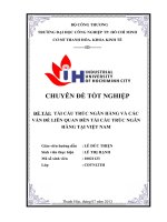 TÁI cấu TRÚC NGÂN HÀNG và các vấn đề LIÊN QUAN đến tái cấu TRÚC NGÂN HÀNG tại VIỆT NAM