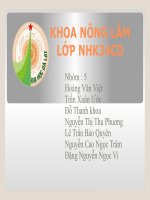 đề tài cấp đông rau quả