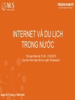 báo cáo nghiên cứu về internet và du lịch trong nước