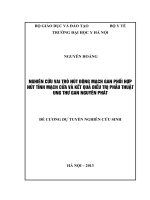 nghiên cứu vai trò nút động mạch gan phối hợp với nút tĩnh mạch cửa trong điều trị phẫu thuật ung thư gan nguyên phát