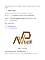 THỰC TRẠNG CÔNG tác TUYỂN DỤNG, đào tạo và PHÁT TRIỂN NHÂN sự tại CÔNG TY cổ PHẦN bất ĐỘNG sản NAM VIỆT