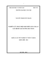 nghiên cứu phát hiện đột biến gen col1a1 gây bệnh tạo xương bất toàn