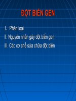đề tài đột biến gen